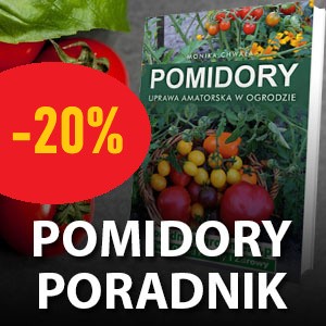 Pomidory Poreadnik Obniżka Ceny 20%