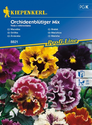 Bratek ogrodowy Orchideenblütiger Mix