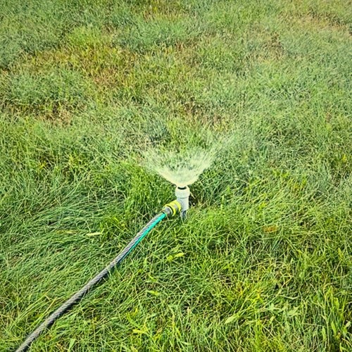 Zraszacz statyczny na szpilce Green Star