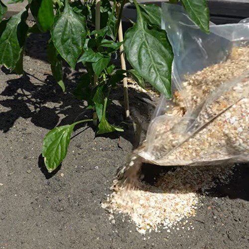 Debris wapniowy na ślimaki i do odkwaszania gleby 5 kg