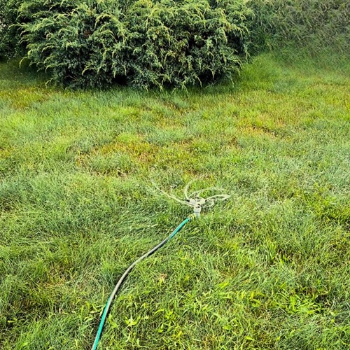 Zraszacz obrotowy 3-ramienny na szpilce Green Star