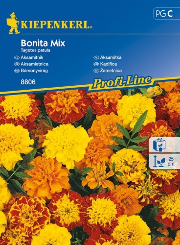 Aksamitka rozpierzchła Bonita Mix