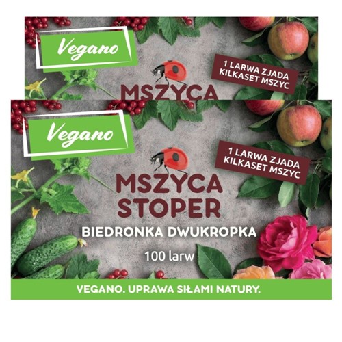 Mszyca Stoper - larwy biedronki na mszyce - 200 szt. Vegano