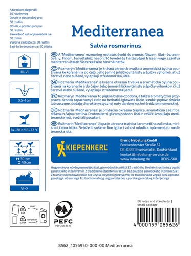 Rozmaryn lekarski wieloletni Mediterranea - nasiona