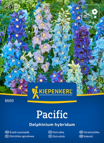 Ostróżka wieloletnia - nasiona mieszanka kolorowych odmian