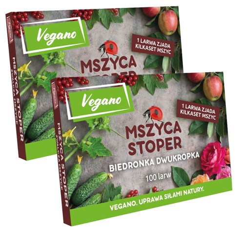 Mszyca Stoper - larwy biedronki na mszyce - 200 szt. Vegano