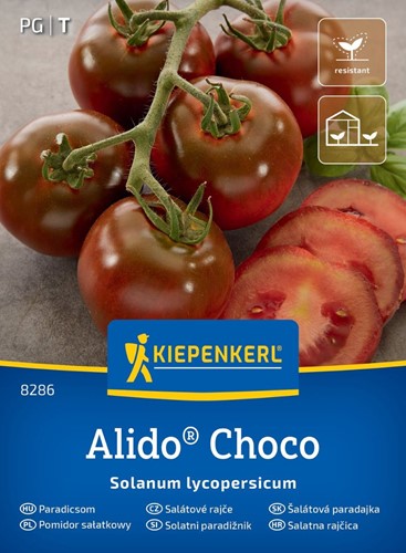 Pomidor czekoladowy Alido Choco odporny na choroby