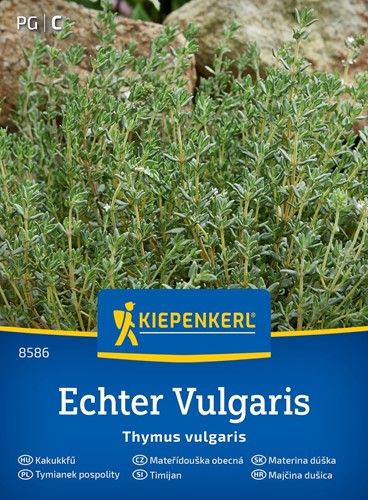 Tymianek pospolity wieloletni - Thymus vulgaris - nasiona