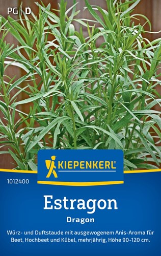Estragon Dragon - Artemisia dracunculus - nasiona