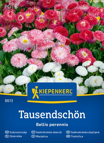 Stokrotka pospolita - mieszanka odmian - nasiona