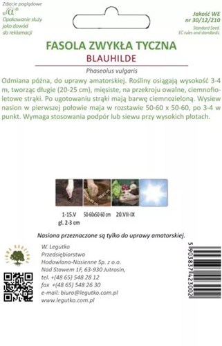 Fasola szparagowa tyczna Blauhilde 10 g