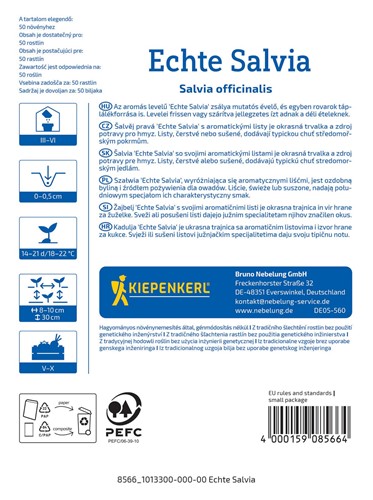 Szałwia lekarska - Salvia officinalis - nasiona