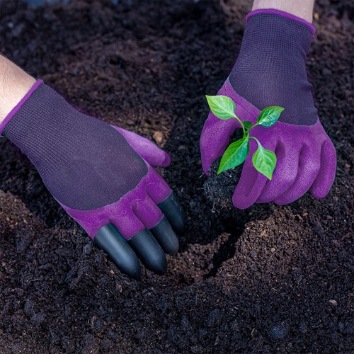 Rękawice ogrodowe z pazurkami - fioletowe