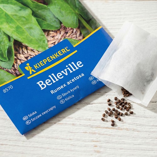 Szczaw zwyczajny wieloletni Belleville - nasiona
