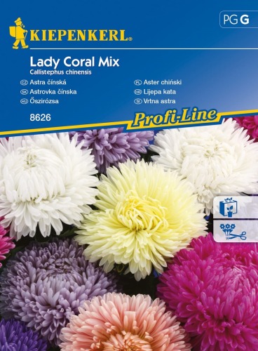Aster chiński Lady Coral Mix