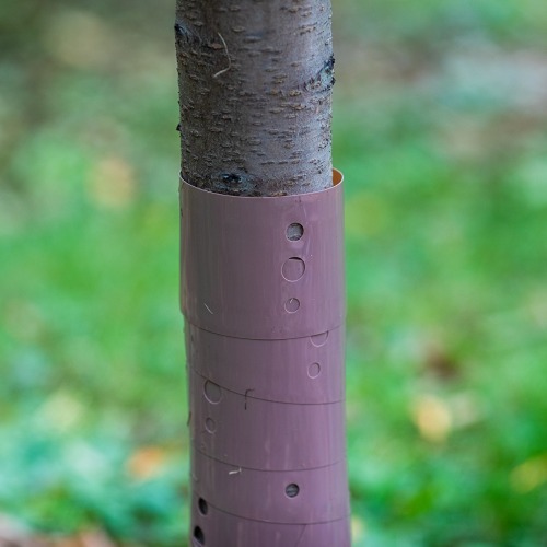 Osłonka sadownicza na drzewa  owocowe 60 cm
