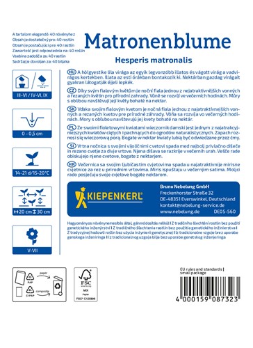 Wieczornik damski pachnące kwiaty nasiona