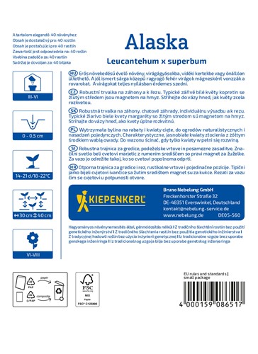 Jastrun, złocień wielki 'Alaska' - nasiona