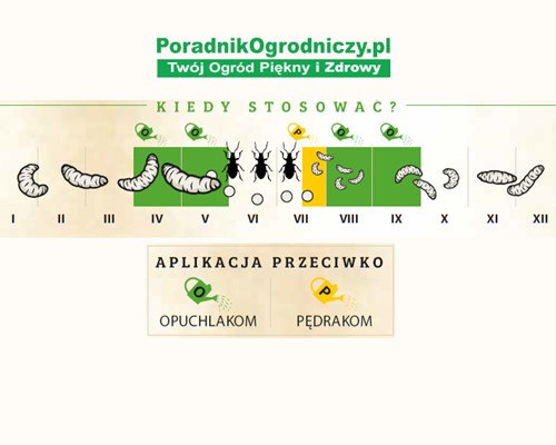 Nicienie na opuchlaki i pędraki Larva Stoper 2x50 mln