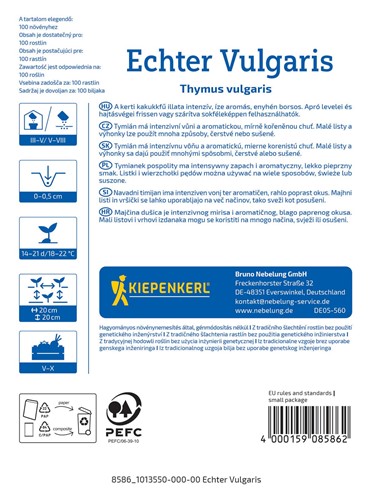 Tymianek pospolity wieloletni - Thymus vulgaris - nasiona