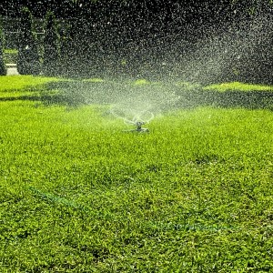 Zraszacz obrotowy 3-ramienny przenośny Green Star