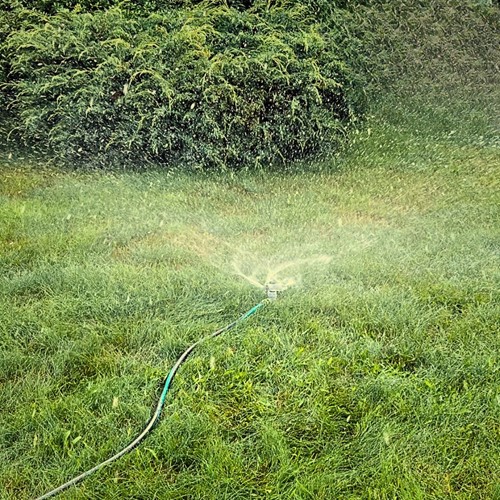 Zraszacz obrotowy 3-ramienny na szpilce Green Star