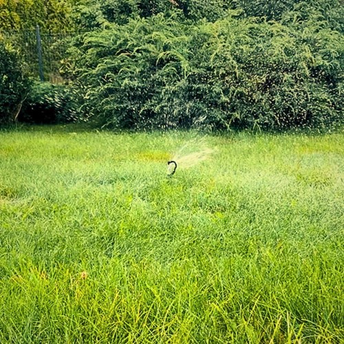 Zraszacz obrotowy przenośny Green Star