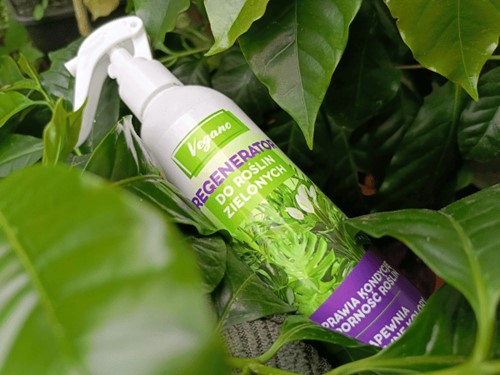Regenerator do roślin zielonych Vegano 300 ml