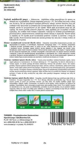 Szpinak Malabarski pnący