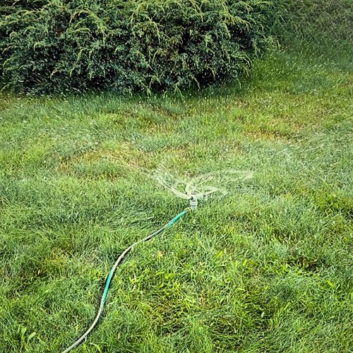 Zraszacz obrotowy 3-ramienny na szpilce Green Star