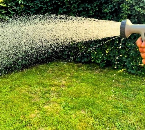 Zraszacz ogrodowy ręczny pistoletowy Shower Green Star