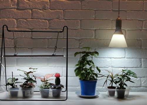Przewód do żarówki LED doświetlanie roślin gwint E27 - 4 m