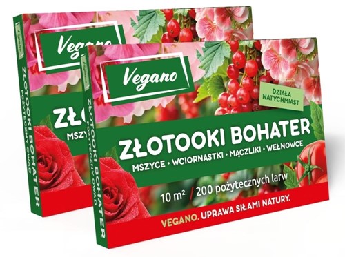 Złotooki Bohater - larwy na mszyce - 400 szt. Vegano