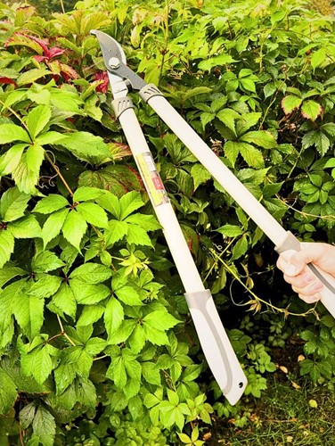 Sekator do gałęzi z długimi rączkami Green Star 66 cm