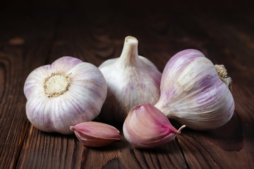 Czosnek jadalny ozimy Germidour 250 g