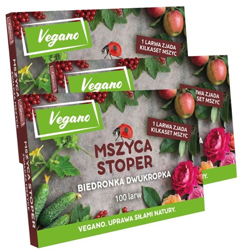 Mszyca Stoper - larwy biedronki na mszyce - 300 szt. Vegano