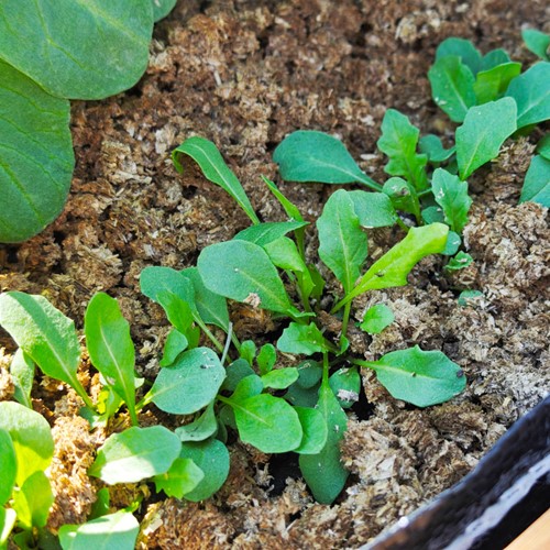 Ściółka ogrodowa ze słomy i Alginitu Plantimax Minerals 33 l