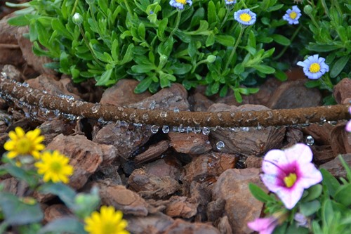 Wąż nawadniający pocący brązowy 10 m