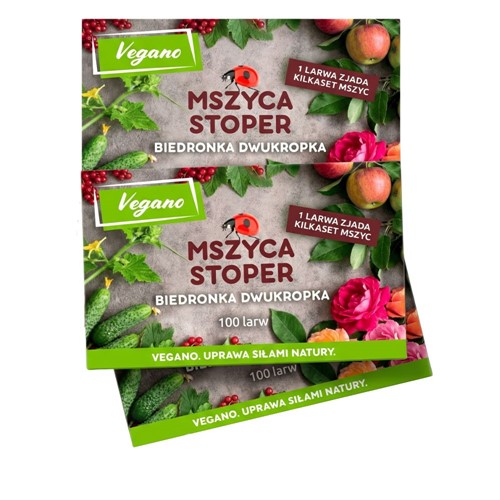Mszyca Stoper - larwy biedronki na mszyce - 300 szt. Vegano