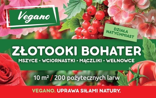 Złotooki Bohater - larwy na mszyce - 200 szt. Vegano
