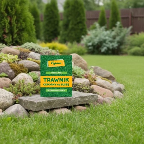 Trawa odporna na suszę 1 kg Vegano