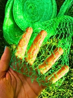 Siatka ochronna przeciw ptakom 10x2 m Green Star