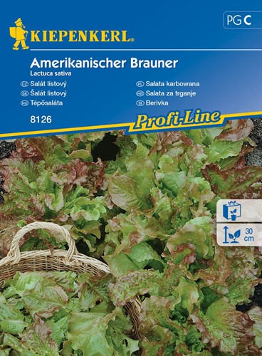 Sałata karbowana Amerikanischer Brauner