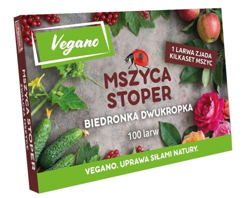 Mszyca Stoper - larwy biedronki na mszyce - 100 szt. Vegano