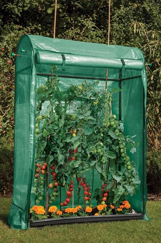 Mini szklarnia do uprawy pomidorów 149 x 100 x 40,5 cm
