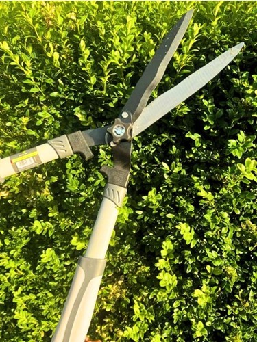 Nożyce do żywopłotu ręczne 21 cm Green Star