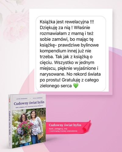 Cudowny Świat Bylin - książka - Lucyna i Alicja Grabowska