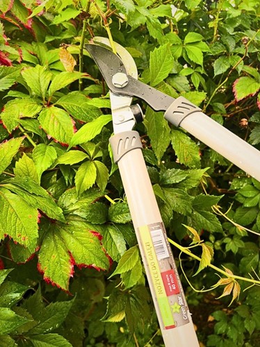 Sekator do gałęzi z długimi rączkami Green Star 66 cm