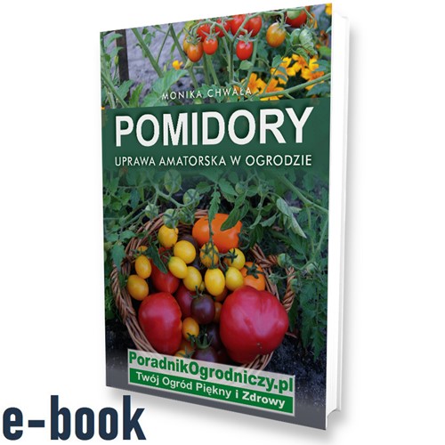 Pomidory. Uprawa amatorska w ogrodzie e-book