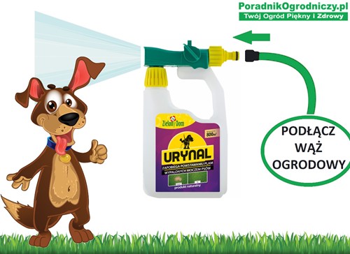 Urynal na trawnik - sposób na psi mocz 950 ml Zielony Dom